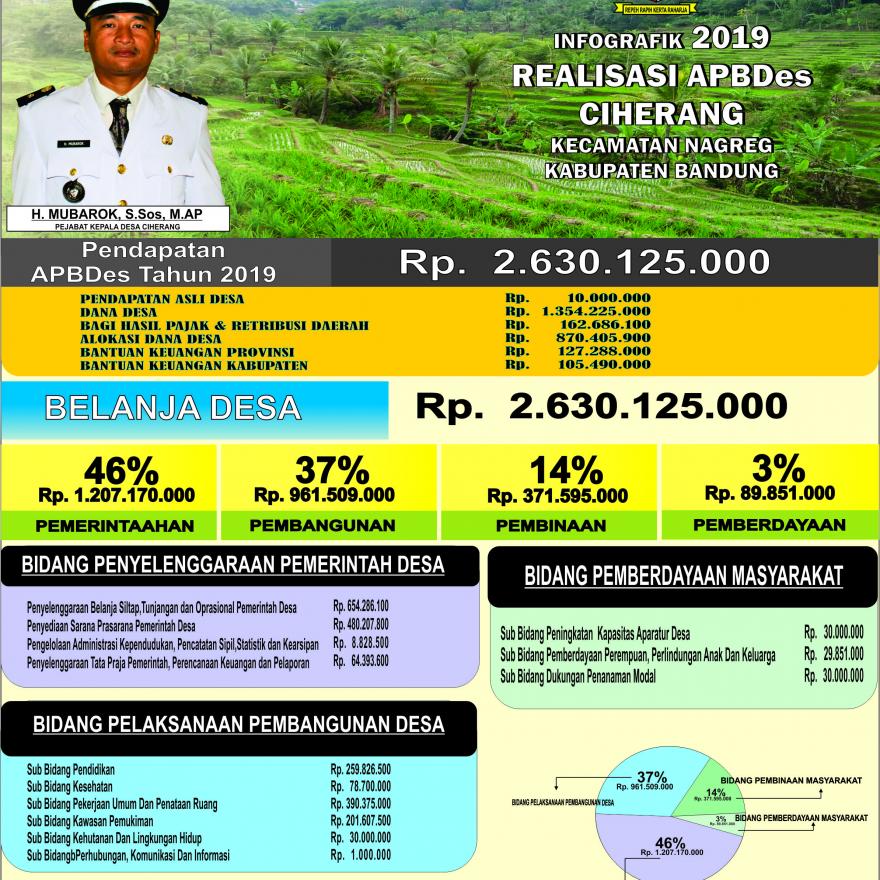 LAPORAN REALISASI PELAKSANAAN ANGGARAN PENDAPATAN DAN BELANJA DESA TAHUN ANGGARAN 2019